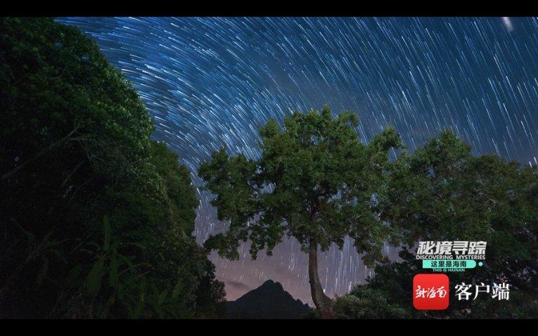 新华社快讯:美国前常驻联合国代表黑利:“比赛远未结束”,将继续参加共和党初选