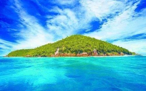 矿工打地鼠
